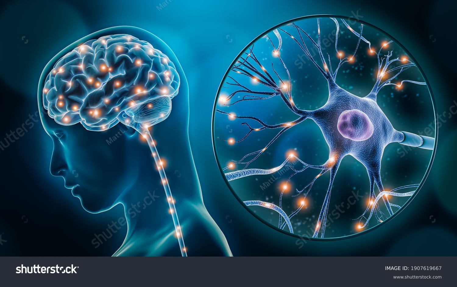 glowing brain neural connections